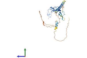 AlphaFold protein structure predicition of Human Recombinant EDA2R Protein, UniprotID Q9HAV5