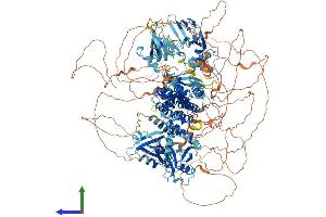 AlphaFold protein structure predicition of Human Recombinant RAPGEF6 Protein, UniprotID Q8TEU7