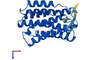 AlphaFold protein structure predicition of Mouse Recombinant Kdelr2 Protein, UniprotID Q9CQM2
