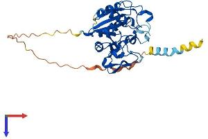 AlphaFold protein structure predicition of Mouse Recombinant B3gat2 Protein, UniprotID P59270