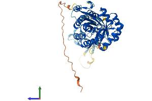 AlphaFold protein structure predicition of Mouse Recombinant Azin2 Protein, UniprotID Q8BVM4