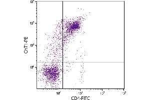 Chicken peripheral blood lymphocytes were stained with Mouse Anti-Chicken ChT1-PE. (ChT anticorps  (FITC))