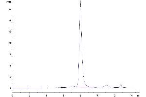 The purity of Human LILRB2 is greater than 95 % as determined by SEC-HPLC.