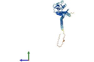 AlphaFold protein structure predicition of Mouse Recombinant Olr1 Protein, UniprotID Q9EQ09