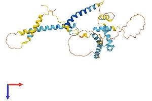 AlphaFold protein structure predicition of Human Recombinant STRA8 Protein, UniprotID Q7Z7C7