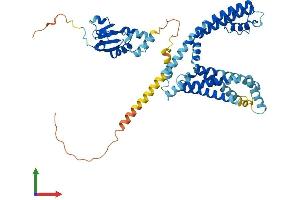 AlphaFold protein structure predicition of Mouse Recombinant Kcns1 Protein, UniprotID O35173