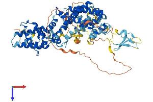 AlphaFold protein structure predicition of Mouse Recombinant Rasgrp2 Protein, UniprotID Q9QUG9