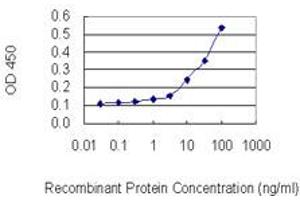 Detection limit for recombinant GST tagged SMUG1 is 3 ng/ml as a capture antibody. (SMUG1 anticorps  (AA 1-177))
