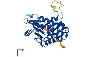 AlphaFold protein structure predicition of Mouse Recombinant Dck Protein, UniprotID P43346