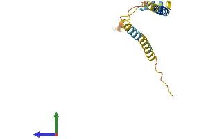 AlphaFold protein structure predicition of Human Recombinant SLC51B Protein, UniprotID Q86UW2