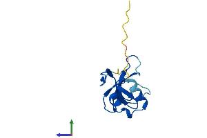 AlphaFold protein structure predicition of Human Recombinant CDPF1 Protein, UniprotID Q6NVV7