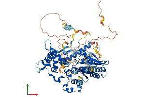 AlphaFold protein structure predicition of Human Recombinant GNL1 Protein, UniprotID P36915