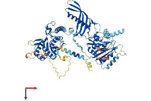 AlphaFold protein structure predicition of Human Recombinant CHPF2 Protein, UniprotID Q9P2E5