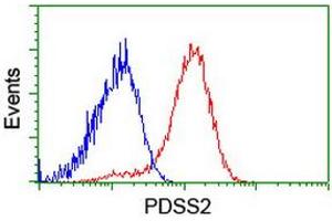 Flow cytometric Analysis of Hela cells, using anti-PDSS2 antibody (ABIN2455301), (Red), compared to a nonspecific negative control antibody, (Blue). (PDSS2 anticorps)