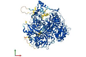 AlphaFold protein structure predicition of Mouse Recombinant Pfas Protein, UniprotID Q5SUR0