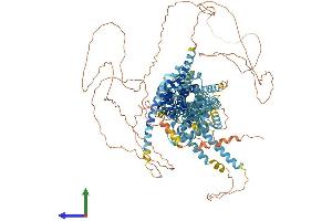AlphaFold protein structure predicition of Mouse Recombinant Srebf2 Protein, UniprotID Q3U1N2
