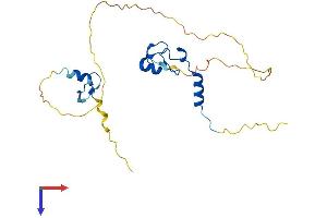 AlphaFold protein structure predicition of Human Recombinant ZFAND3 Protein, UniprotID Q9H8U3