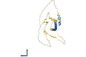 AlphaFold protein structure predicition of Mouse Recombinant Mafb Protein, UniprotID P54841