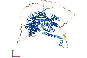 AlphaFold protein structure predicition of Human Recombinant KATNB1 Protein, UniprotID Q9BVA0
