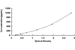 Typical standard curve (ANG Kit ELISA)