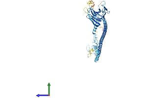 AlphaFold protein structure predicition of Human Recombinant TRIM34 Protein, UniprotID Q9BYJ4