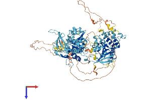 AlphaFold protein structure predicition of Mouse Recombinant Rad54b Protein, UniprotID Q6PFE3