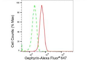 Flow cytometric analysis of Gephyrin expression in HT- cells using Gephyrin antibody (ABIN7798712), 1:2,000). (Recombinant Gephyrin anticorps)