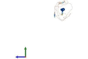 AlphaFold protein structure predicition of Human Recombinant CCDC62 Protein, UniprotID Q6P9F0