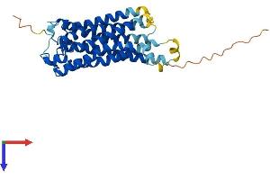 AlphaFold protein structure predicition of Human Recombinant TBXA2R Protein, UniprotID P21731