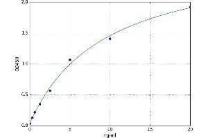 Contactin 4 (CNTN4) ELISA Kit