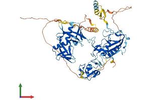 AlphaFold protein structure predicition of Human Recombinant DTX1 Protein, UniprotID Q86Y01