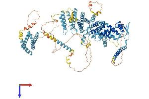 AlphaFold protein structure predicition of Human Recombinant EIF3C Protein, UniprotID Q99613