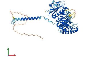 AlphaFold protein structure predicition of Mouse Recombinant Slc3a2 Protein, UniprotID P10852