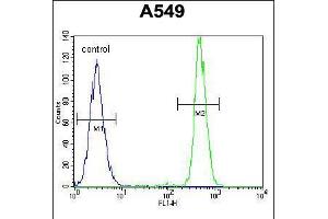 Flow cytometric analysis of A549 cells (right histogram) compared to a negative control cell (left histogram).