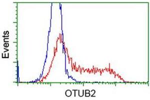 HEK293T cells transfected with either RC209650 overexpress plasmid (Red) or empty vector control plasmid (Blue) were immunostained by anti-OTUB2 antibody (ABIN2453411), and then analyzed by flow cytometry. (OTUB2 anticorps)