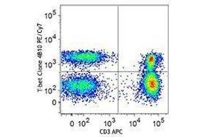 Flow Cytometry (FACS) image for anti-T-Bet antibody (PE-Cy7) (ABIN2659392) (T-Bet anticorps  (PE-Cy7))