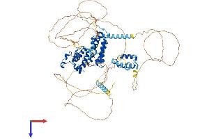 AlphaFold protein structure predicition of Mouse Recombinant Brd2 Protein, UniprotID Q7JJ13