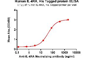 ELISA plate pre-coated by 1 μg/mL (100 μL/well) Human IL-4RA , His tagged protein (ABIN7092717, ABIN7272258 and ABIN7272259) can bind Anti-IL-4RA Neutralizing antibody ABIN7477984 and ABIN7490906 in a linear range of 16-80 ng/mL.
