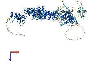 AlphaFold protein structure predicition of Mouse Recombinant Tnks2 Protein, UniprotID Q3UES3