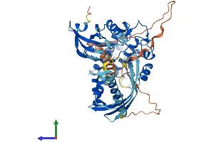 AlphaFold protein structure predicition of Mouse Recombinant Camk2g Protein, UniprotID Q923T9