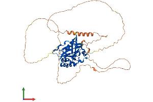 AlphaFold protein structure predicition of Human Recombinant CTDSPL2 Protein, UniprotID Q05D32