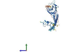 AlphaFold protein structure predicition of Human Recombinant TRIM26 Protein, UniprotID Q12899