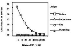 Standard curve for red sea bream, carp, mummichog and medaka ELISA, using Vitellogenin monoclonal antibody, clone 3C1  . (Vitellogenin 2 anticorps)