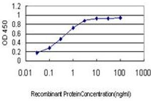 Detection limit for recombinant GST tagged ALS2 is approximately 0. (ALS2 anticorps  (AA 221-320))