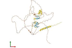 AlphaFold protein structure predicition of Mouse Recombinant Sp9 Protein, UniprotID Q64HY3
