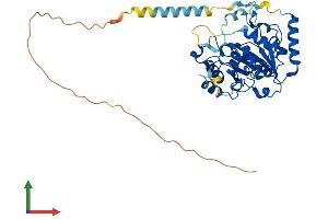AlphaFold protein structure predicition of Mouse Recombinant St3gal5 Protein, UniprotID O88829
