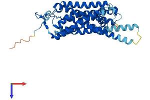 AlphaFold protein structure predicition of Human Recombinant TAAR6 Protein, UniprotID Q96RI8