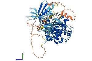AlphaFold protein structure predicition of Mouse Recombinant Chek1 Protein, UniprotID O35280