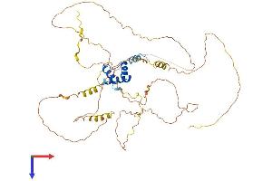 AlphaFold protein structure predicition of Human Recombinant IRX4 Protein, UniprotID P78413