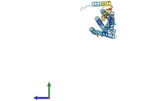 AlphaFold protein structure predicition of Human Recombinant STX16 Protein, UniprotID O14662